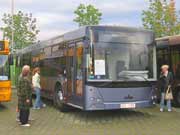 Новая модель городского автобуса МАЗ-204  фото
